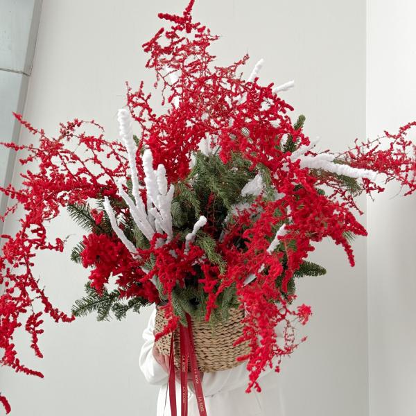 Композиция Новогодняя композиция с аспарагусом купить в Москве