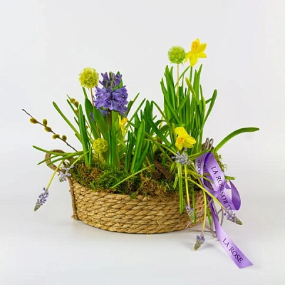 Утро в саду