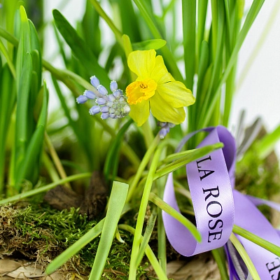 Утро в саду