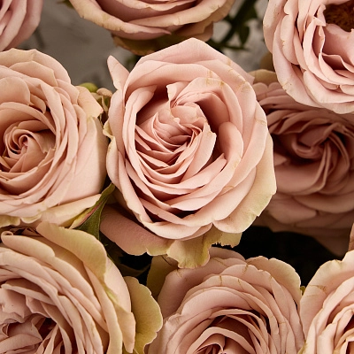 Монобукет из кустовой розы Magic Mocca