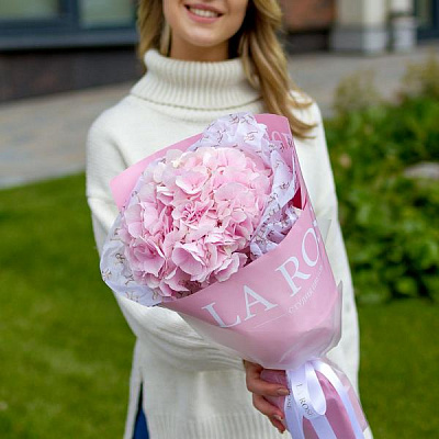 Букет Розовая гортензия в фирменной упаковке купить в Москве