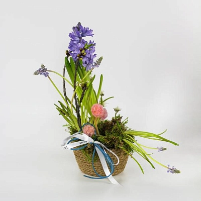 Ночная свежесть