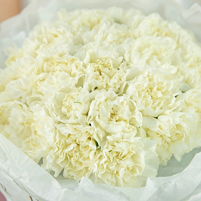 Белые гвоздики