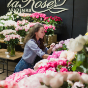 Выставка садовых роз Alexandra Farms 2018